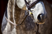 Close-up of horse's head with Thinline leather bridle.