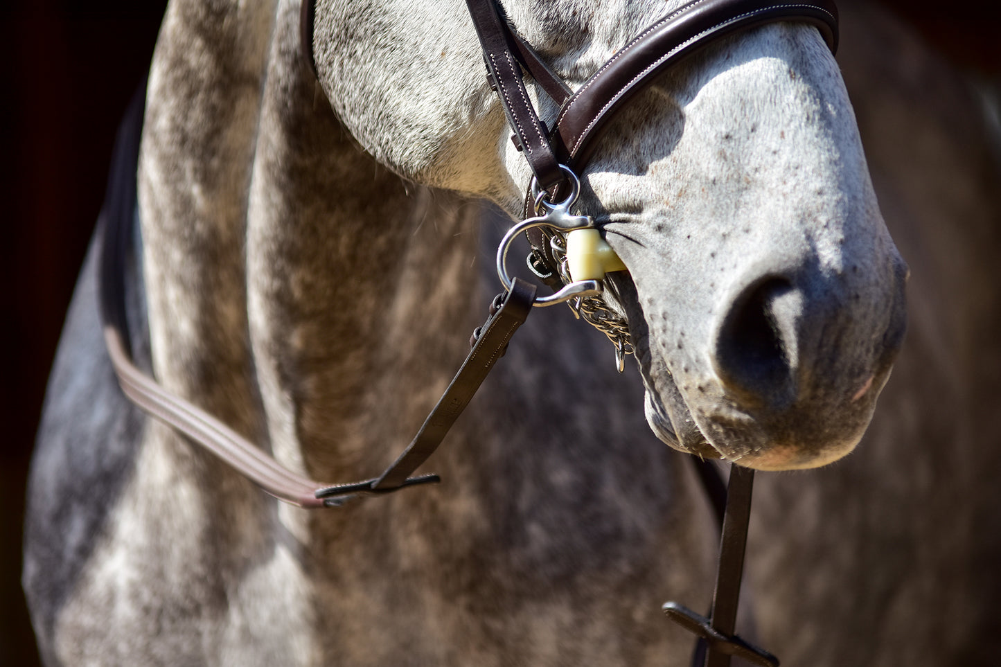 Thinline English Wrapped Reins-Thinline Global Australia-The Equestrian