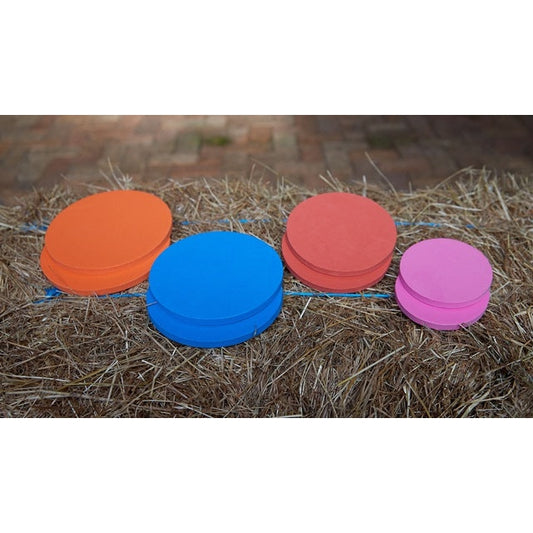 Four colorful round discs in orange, blue, red, and pink, placed on a hay surface in diminishing size order from left to right.