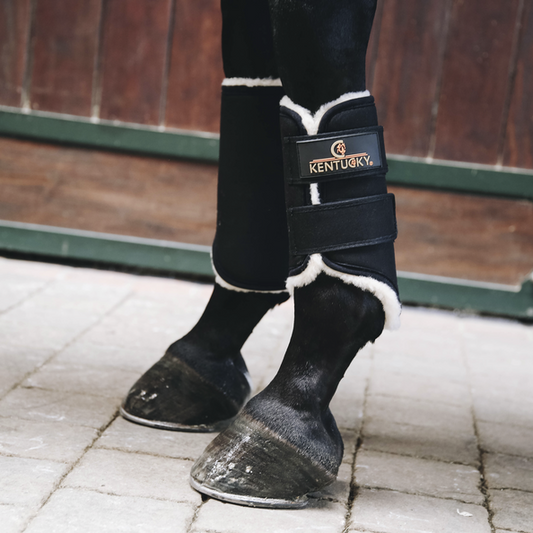 Shop Kentucky Solimbra Turnout Boots - Front for Optimal Equine Protection-Trailrace Equestrian Outfitters-The Equestrian