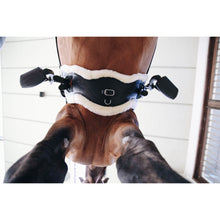 Kentucky Sheepskin Anatomic Short Girth-Trailrace Equestrian Outfitters-The Equestrian