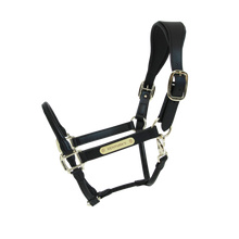 Kentucky Horsewear Anatomic Halter-Trailrace Equestrian Outfitters-The Equestrian