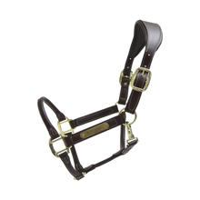 Kentucky Horsewear Anatomic Halter-Trailrace Equestrian Outfitters-The Equestrian