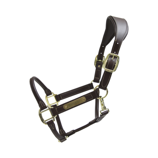 Kentucky Horsewear Anatomic Halter-Trailrace Equestrian Outfitters-The Equestrian