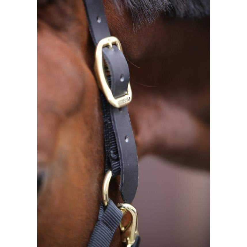 Kentucky Control Halter-Dapple EQ-The Equestrian