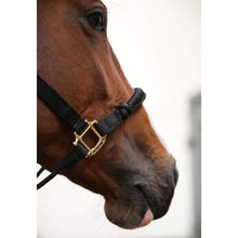 Kentucky Control Halter-Dapple EQ-The Equestrian