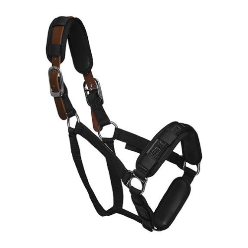 Thinline Halter Padding-Trailrace Equestrian Outfitters-The Equestrian