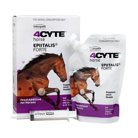 4cyte Equine Epiitalis Forte 250ml-Ascot Saddlery-The Equestrian
