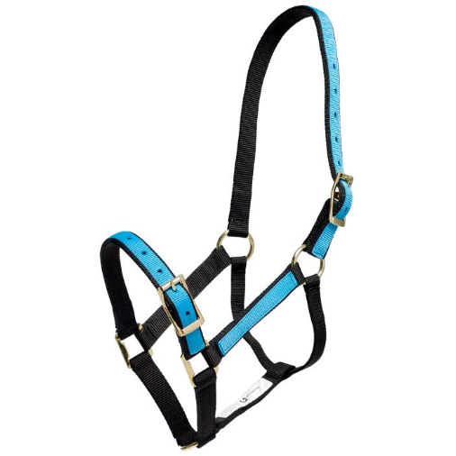 Halter Overlay-Trailrace Equestrian Outfitters-The Equestrian