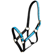 Halter Overlay-Trailrace Equestrian Outfitters-The Equestrian