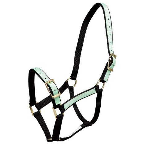Halter Overlay-Trailrace Equestrian Outfitters-The Equestrian