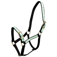 Halter Overlay-Trailrace Equestrian Outfitters-The Equestrian