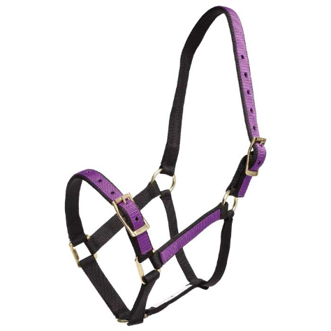 Halter Overlay-Trailrace Equestrian Outfitters-The Equestrian