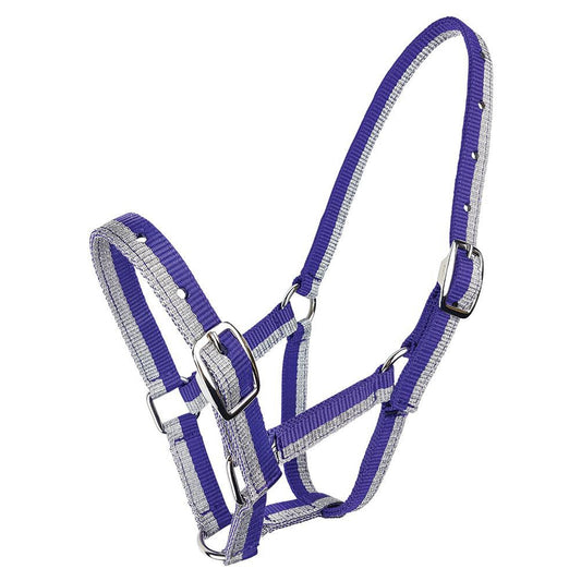 Sparkle Foal/Small Pony Halter-Trailrace Equestrian Outfitters-The Equestrian
