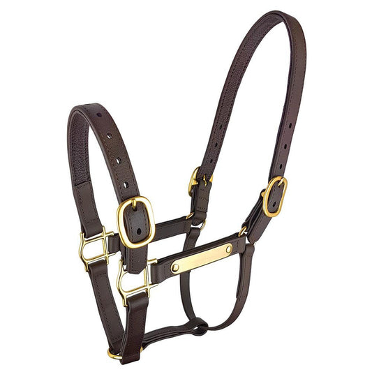 Epsom Deluxe PN Halter-Trailrace Equestrian Outfitters-The Equestrian