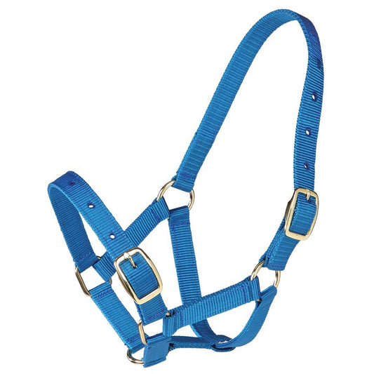 Gymkhana Foal Halter-Trailrace Equestrian Outfitters-The Equestrian