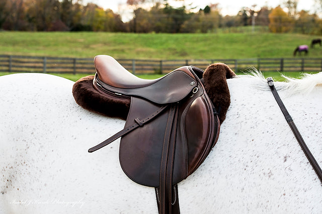 Thinline saddle on white horse with scenic pasture background.