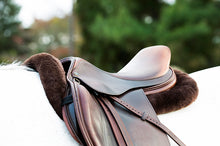 Thinline brown leather saddle on a white horse's back.