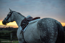 Grey horse with Thinline saddle at sunset, countryside background.