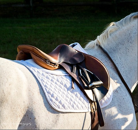 Cotton Half Pad in Trifecta Design-Thinline Global Australia-The Equestrian