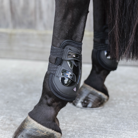 Kentucky Horsewear Moonboots Air X Elastic-Trailrace Equestrian Outfitters-The Equestrian