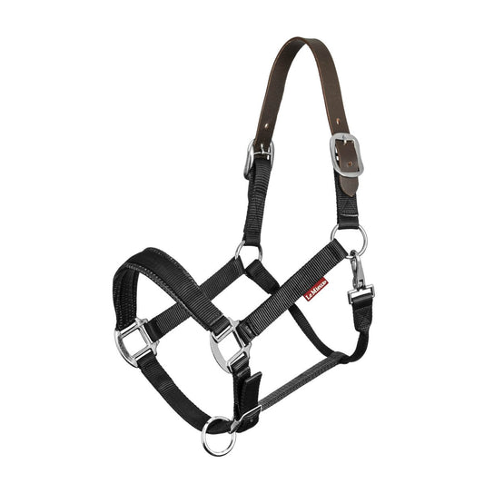 New LeMieux Breakaway Headcollar for Safe and Secure Horse Handling-Southern Sport Horses-The Equestrian
