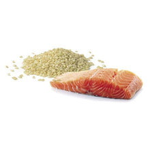A La Carte Cat Salmon & Rice 2.5kg-Ascot Saddlery-The Equestrian