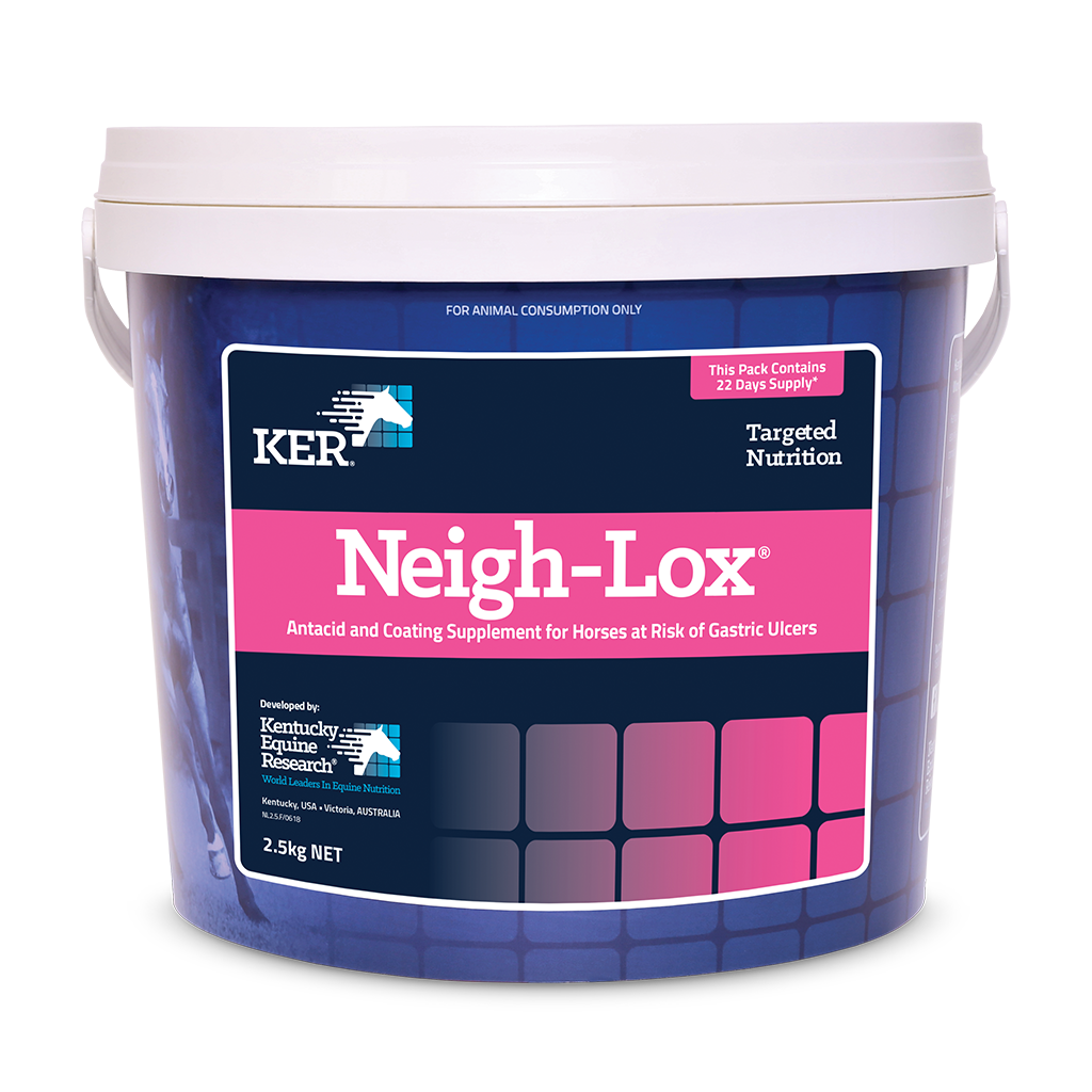 KER Neigh-Lox-Southern Sport Horses-The Equestrian