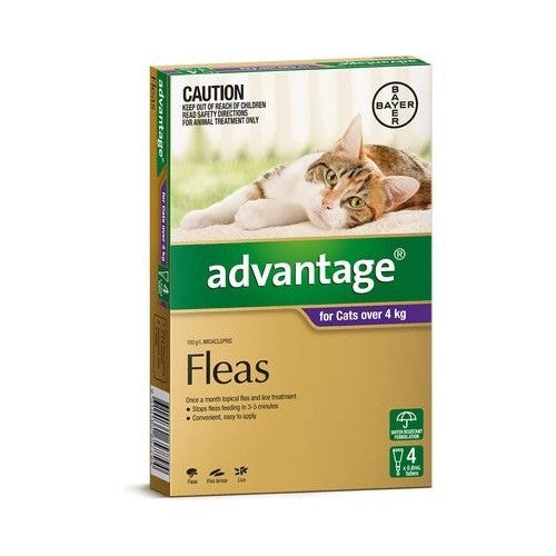 Advantage Cat Over 4kg Large 4 Pack-Ascot Saddlery-The Equestrian