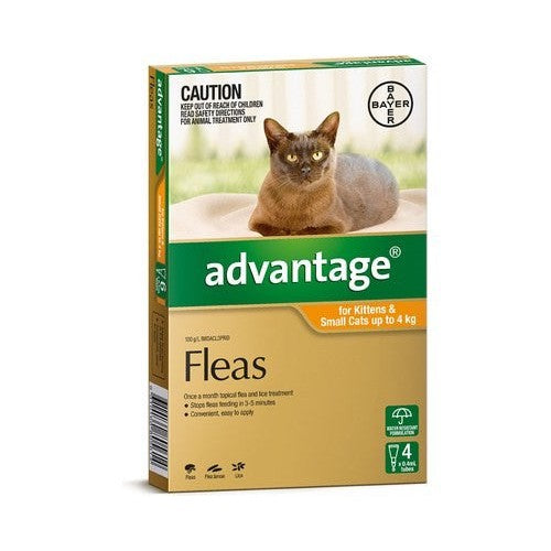 Advantage Cat Under 4kg Small 4 Pack-Ascot Saddlery-The Equestrian