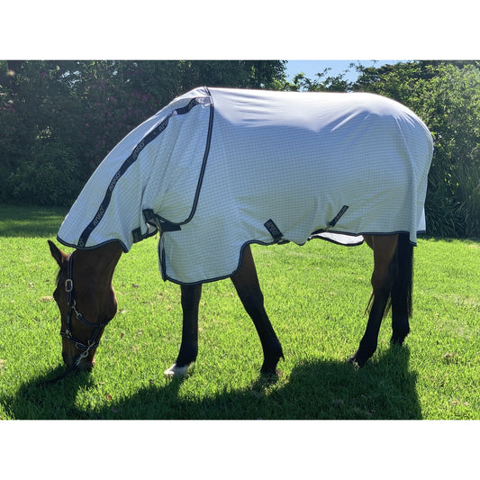 Horse wearing WeatherBeeta branded checkered horse show rug outdoors.