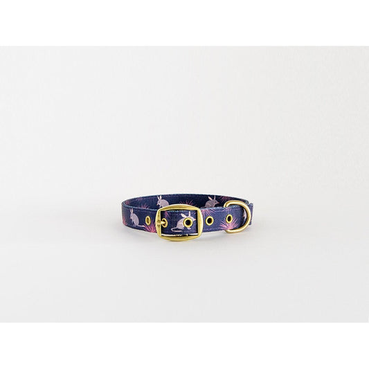 Anipal brand purple dog collar with gold hardware on white background.
