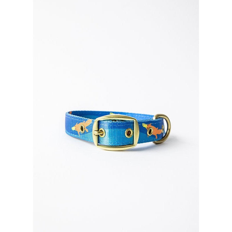 Anipal brand blue dog collar with gold fish pattern and buckle.