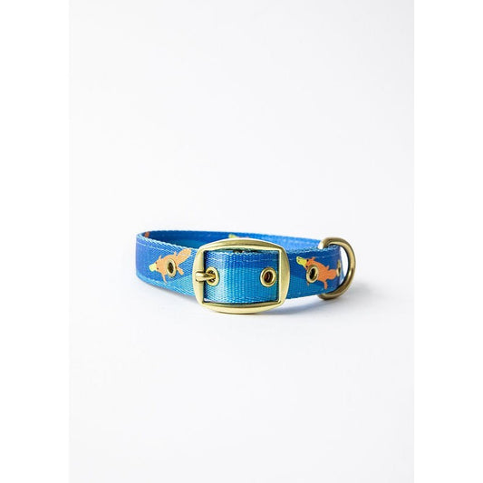 Anipal brand blue dog collar with gold fish pattern and buckle.