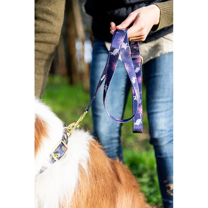 Person holding Anipal brand leash attached to dog outdoors.