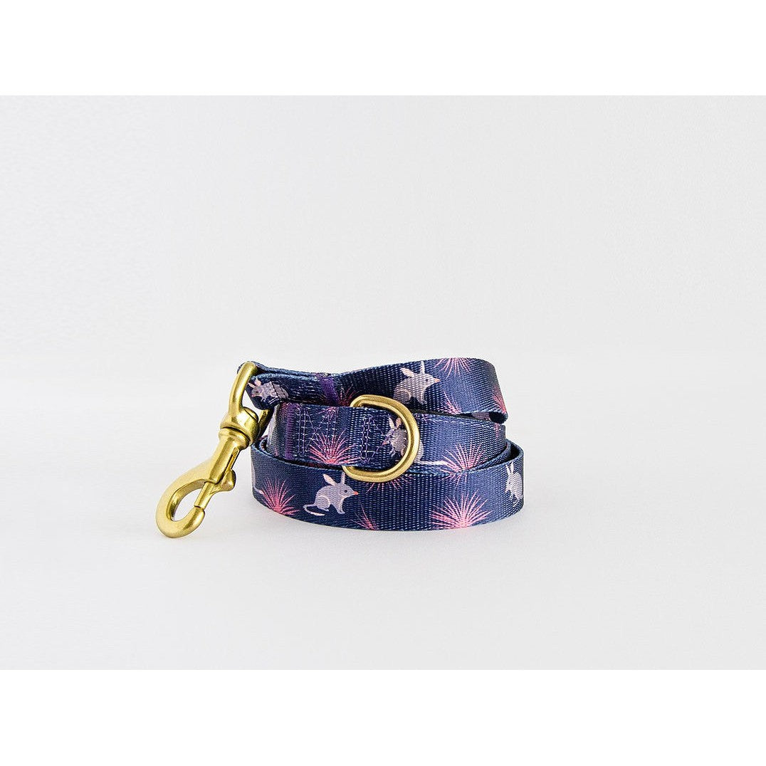 Anipal brand dog collar with floral design and brass hardware.