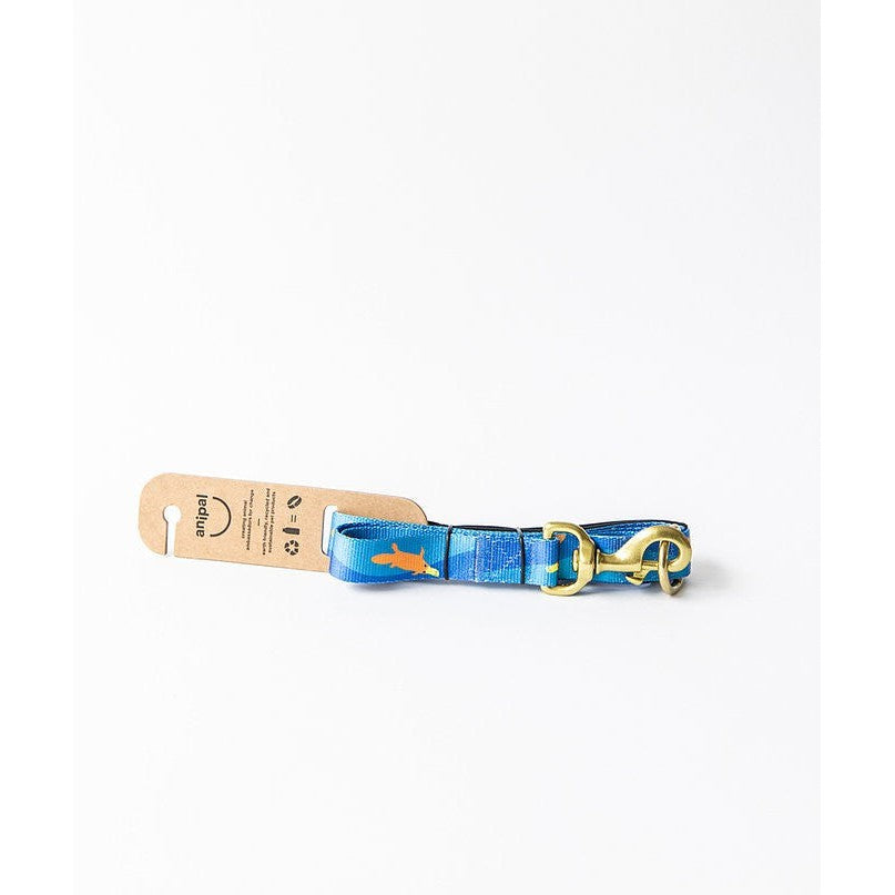 Anipal brand blue dog collar with tag on a white background.