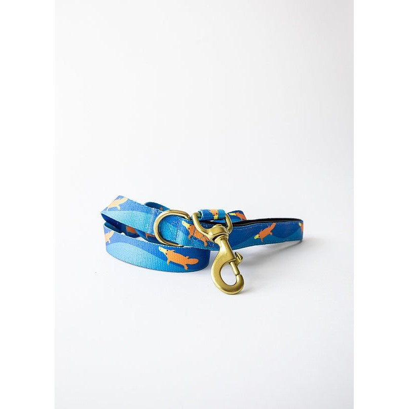 Anipal brand blue dog leash with kangaroo pattern and gold clasp.