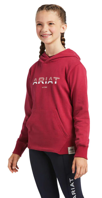 Hoodie Ariat 3d Logo 2.0 Red Bud Sp22 Childs-Ascot Saddlery-The Equestrian