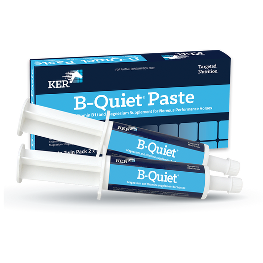 B-quiet brand horse supplement paste in syringes with packaging.