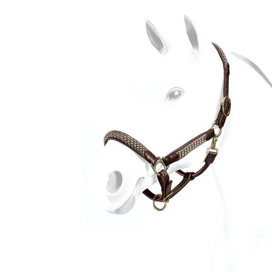 Equipe Leather Halter with Braid Detail-Trailrace Equestrian Outfitters-The Equestrian