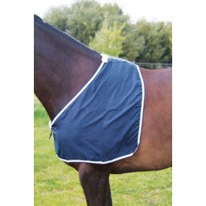 Horse wearing navy blue Eurohunter rug on back in field.