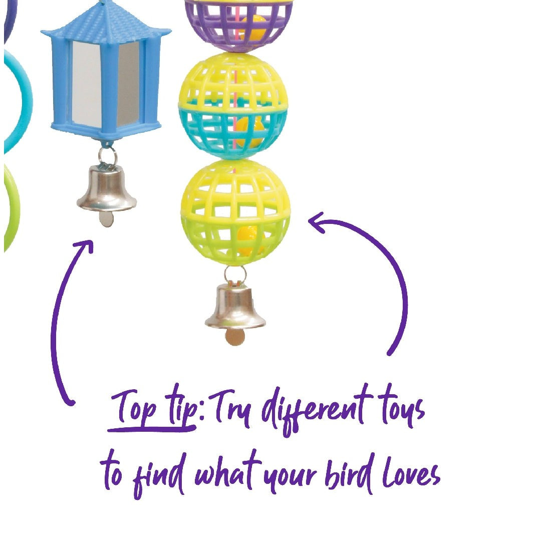 Colorful bird toys with bells and advice text on finding preferences.
