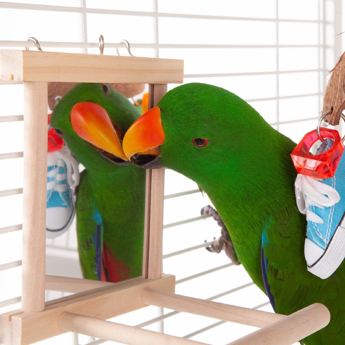 Green parrot toy looking at reflection in mirror, in cage.