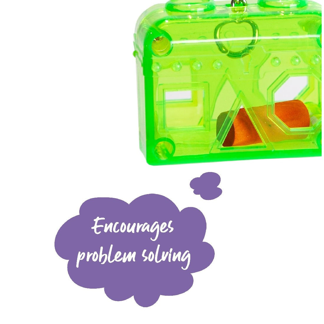Transparent green bird toy with orange treat encourages problem solving.