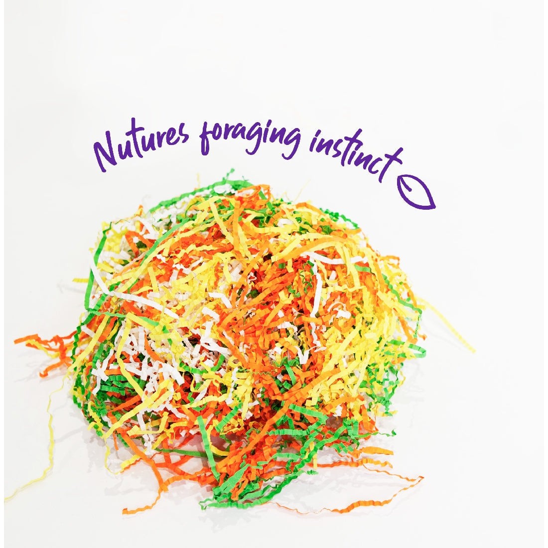Colorful shredded paper bird toy with text "Natures foraging instinct".