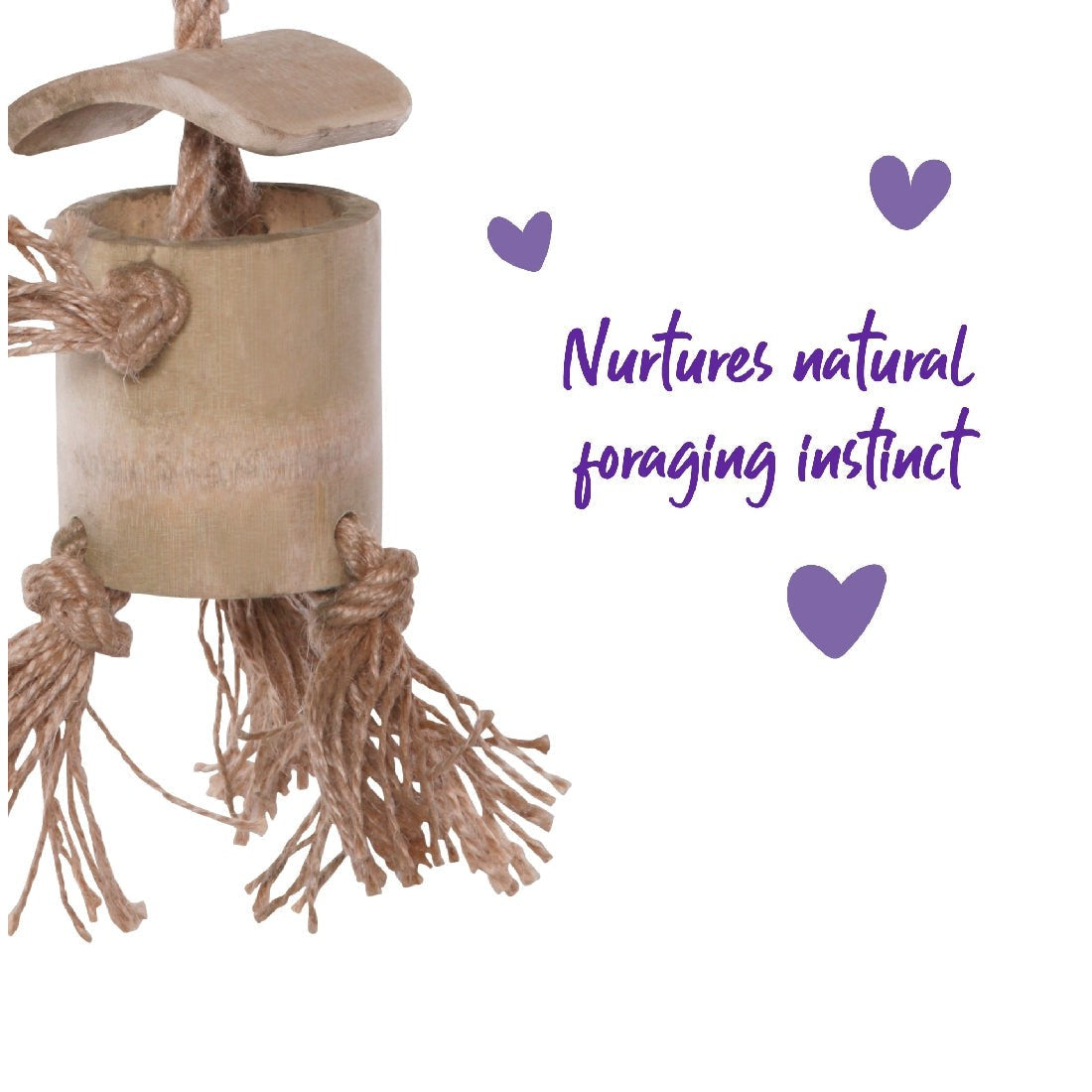 A wooden bird toy with ropes to nurture foraging instincts.