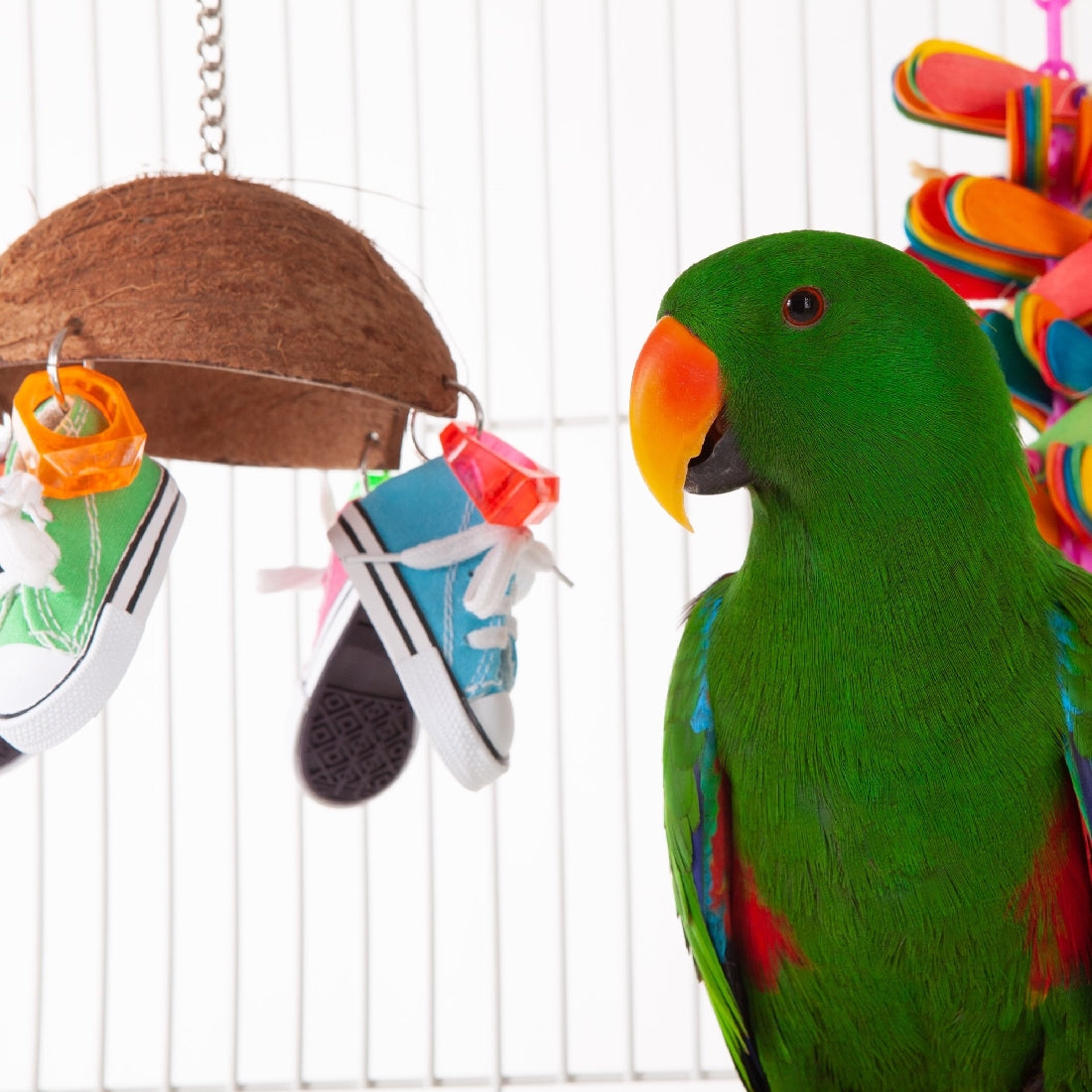 Green parrot near colorful toys inside cage, type: bird toy.