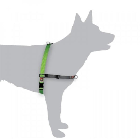 Black Dog Balance Dog Halter with Front & Back attach D-Rings - Small - Green-Lucky Pet Supplies-The Equestrian