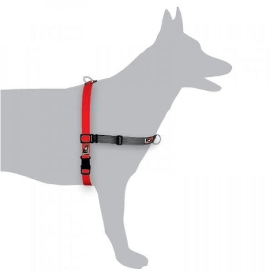 Black Dog Balance Dog Halter with Front & Back attach D-Rings - Small - Red-Lucky Pet Supplies-The Equestrian